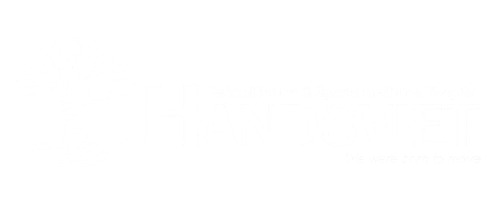 HandsViet Logo